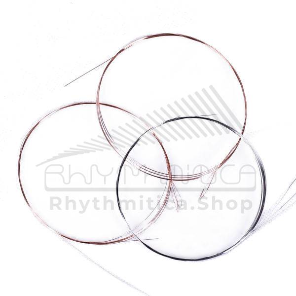 Setar Strings