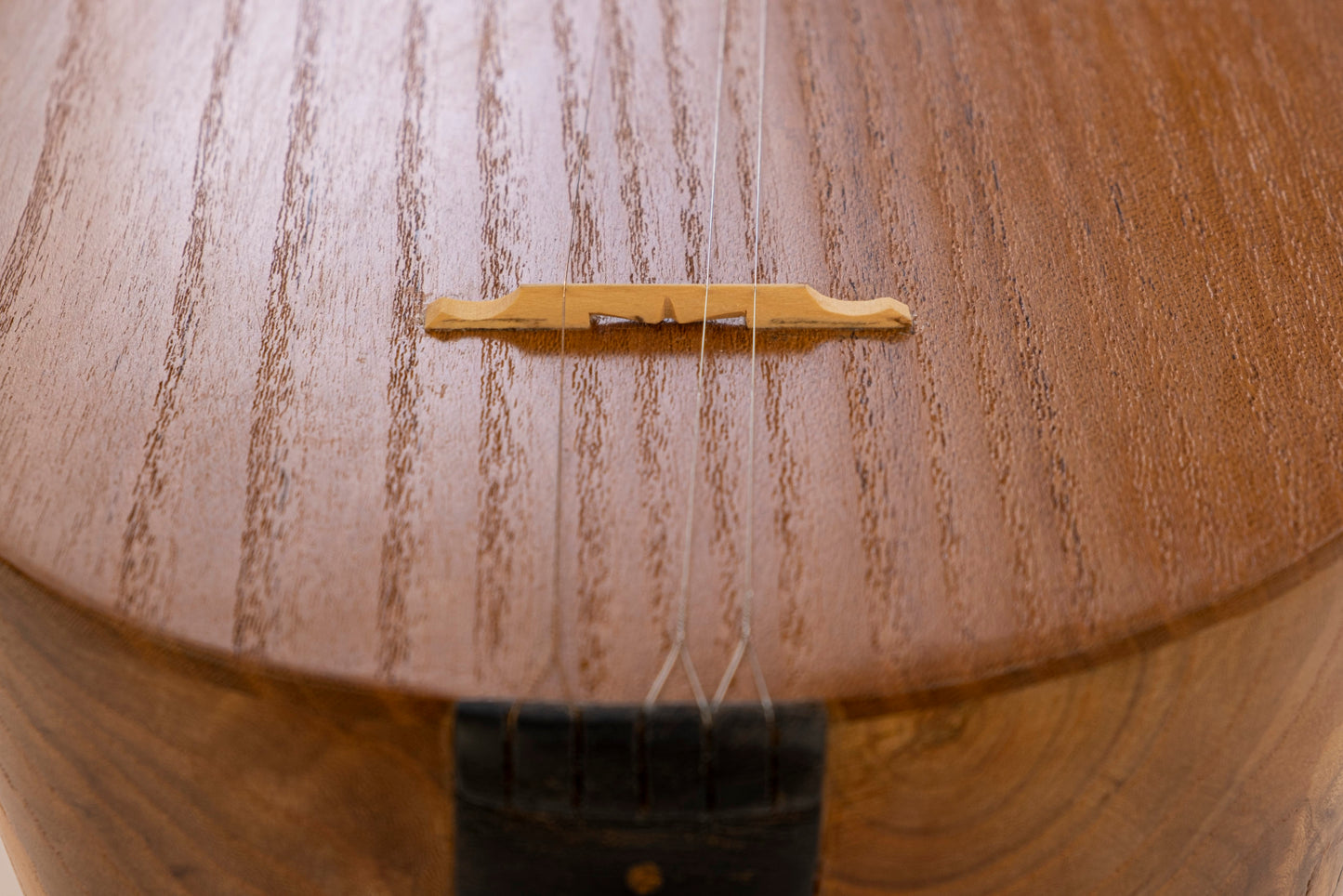 Professional Tanbour by Asadollah Gahvareh