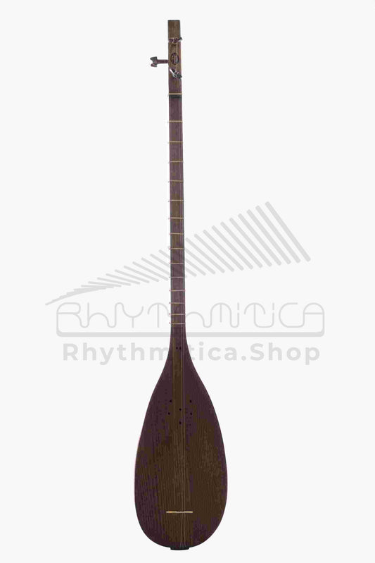 Tanbour-gahvareh-1